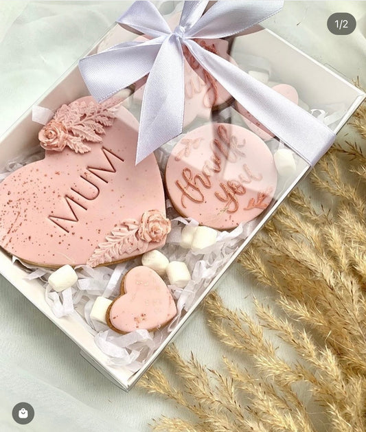 Clear Lid Boxes  - 26 x 20 x 5cm