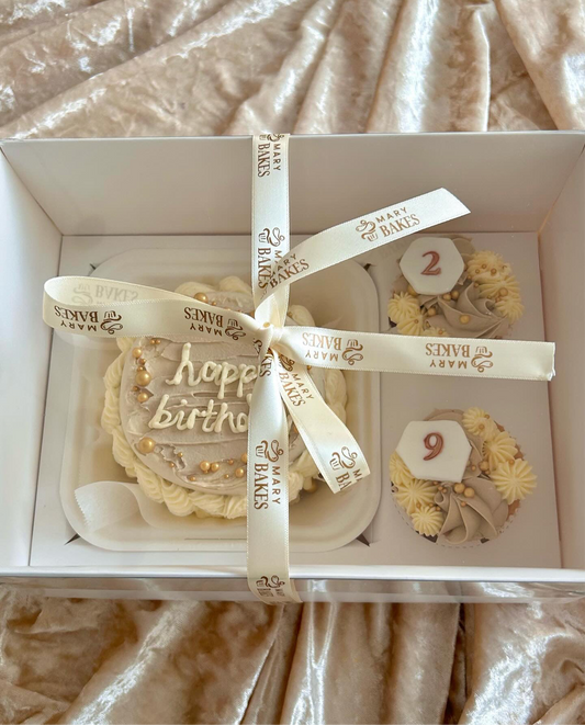 PRE-ORDER - Lid Bento Box With 2 Hold Cupcake Insert - 25.4 x 18 x 12.7cm - Enhanced Height
