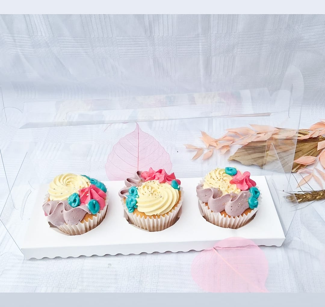 Clear Cupcake Box With Handle