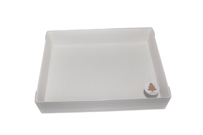 Clear Lid Boxes  - 26 x 20 x 5cm