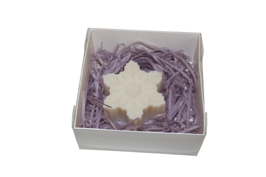 Small Clear Lid Box - 12x12x3.5cm