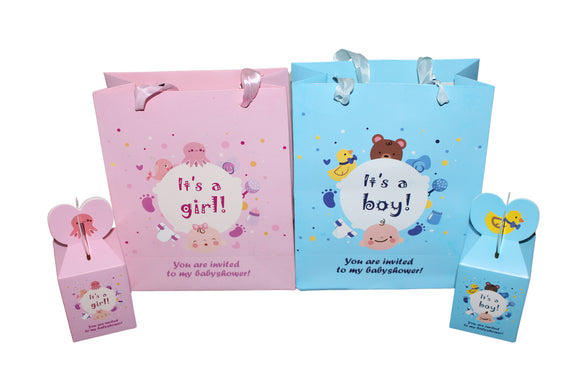 Baby Blue/ Pink gift bag