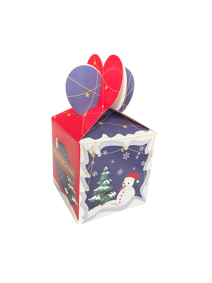 Christmas Favour boxes