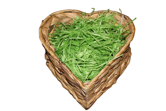 Green Grass Shredded paper - 100g